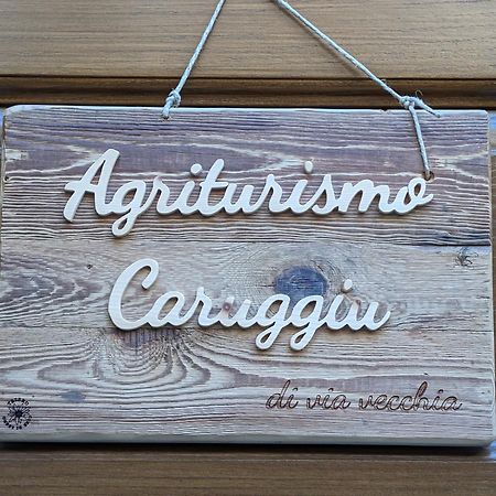 Agriturismo Caruggiu Di Via Vecchia 奥尔科费利诺 外观 照片