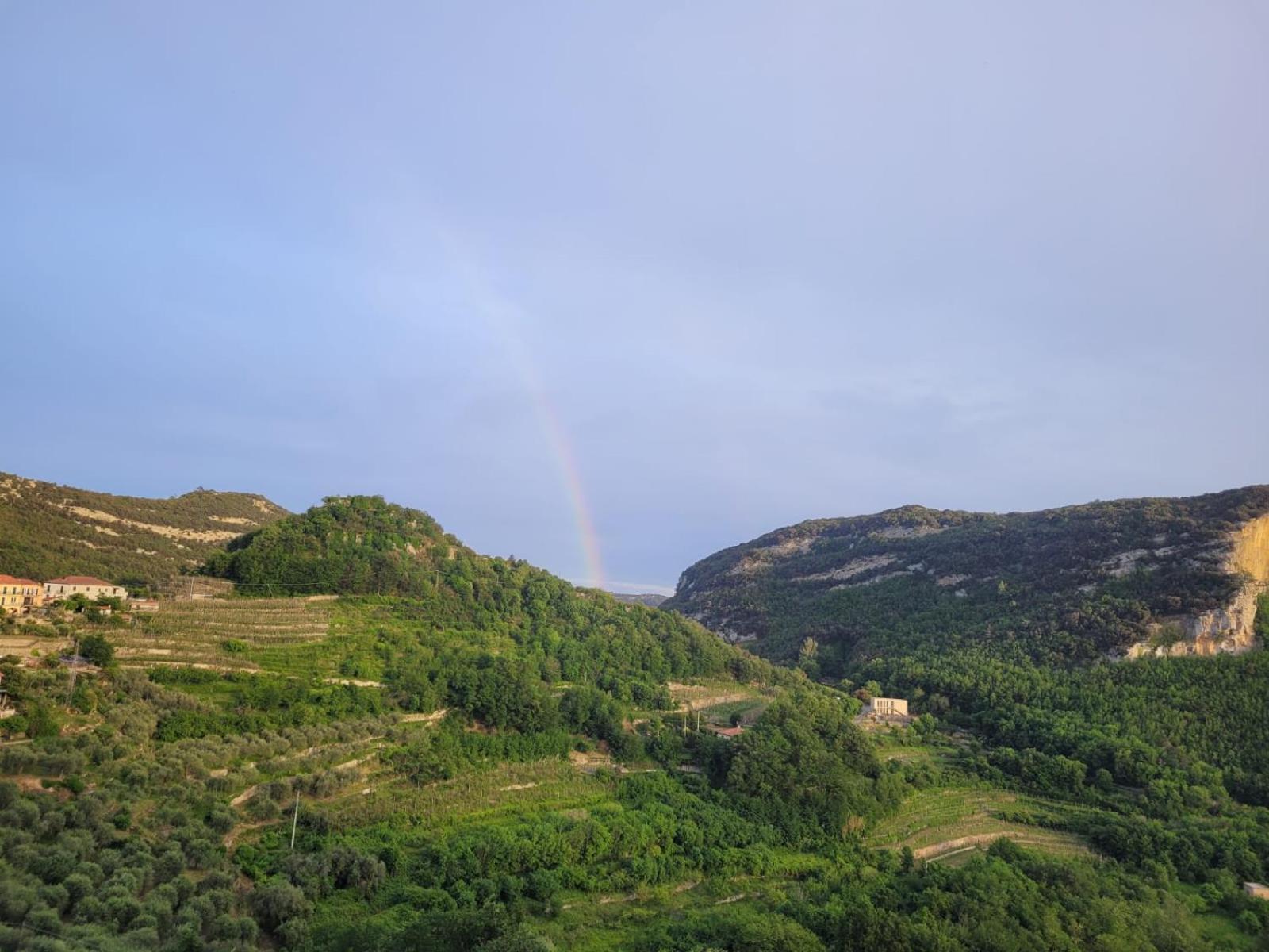 Agriturismo Caruggiu Di Via Vecchia 奥尔科费利诺 外观 照片