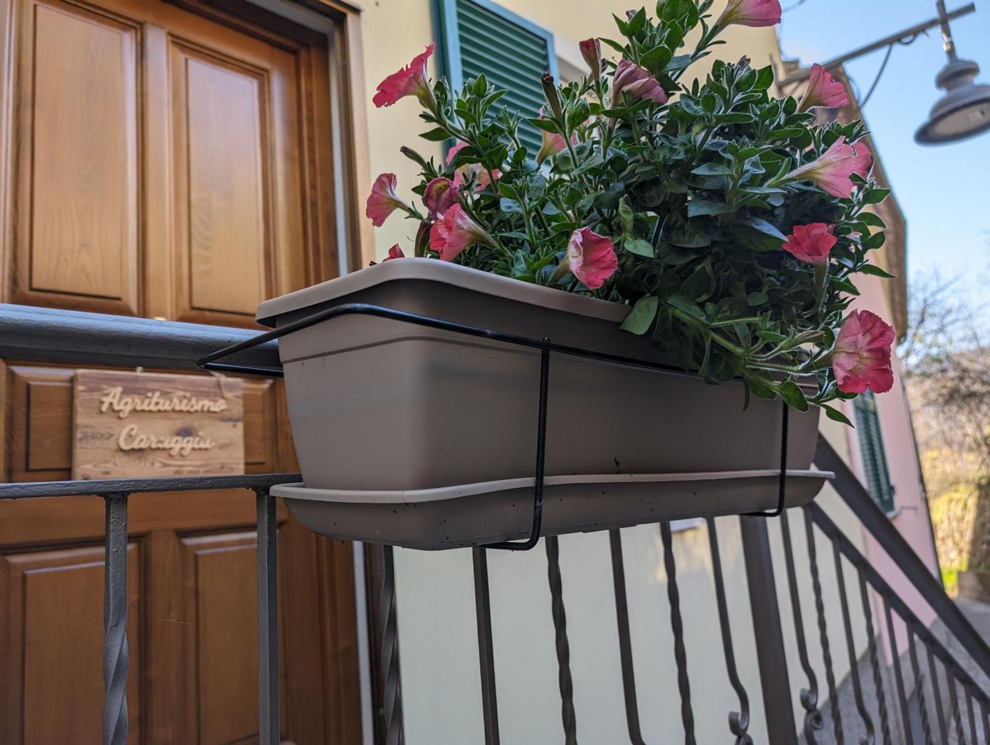 Agriturismo Caruggiu Di Via Vecchia 奥尔科费利诺 外观 照片